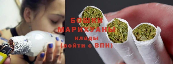 тгк Гусь-Хрустальный