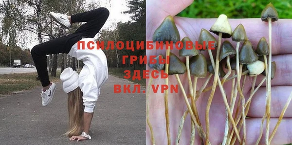 твердый Гусиноозёрск