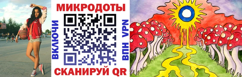 Псилоцибиновые грибы мицелий Арзамас