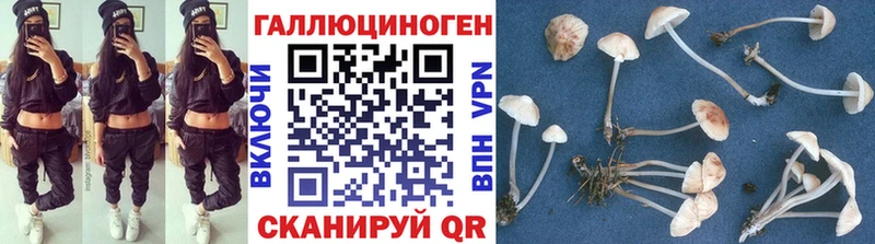 Галлюциногенные грибы GOLDEN TEACHER  цены наркотик  ссылка на мегу зеркало  Арзамас 